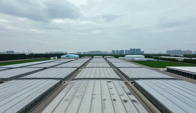 石材加工性能差异及适用条件分析
